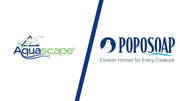 Aquascape vs. Poposoap: Why Poposoap Are the Future of Pond Design