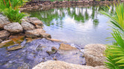 Can a Pond Stay Balanced with Just the Silt Between the Rocks?
