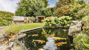 How Much Does a Koi Pond Cost? A Full Breakdown by Size & Features