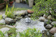 How to Keep Your Pond Water Clear