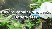 How to Repair Pond Leaks Underwater