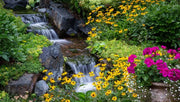 What Eats Aquatic Plants in a Pond? A Guide to Key Consumers