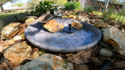 birdbath fountain solar