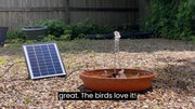 birdbath fountain solar