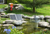 Fountains