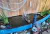 Pond Filters